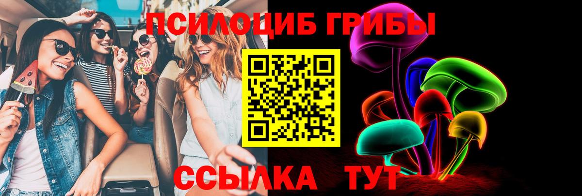 Псилоцибиновые грибы ЛСД  Вход с VPN  хочу наркоту  Псилоцибиновые грибы Psilocybine cubensis  Кудрово 